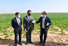 Photo of استصلاح نصف مليون فدان.. السيسي يتفقد مشروع مستقبل مصر للإنتاج الزراعي