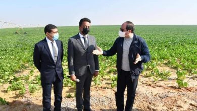 Photo of استصلاح نصف مليون فدان.. السيسي يتفقد مشروع مستقبل مصر للإنتاج الزراعي