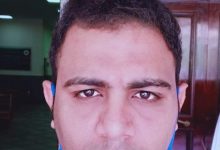 Photo of حصاد 2020 للمصريين