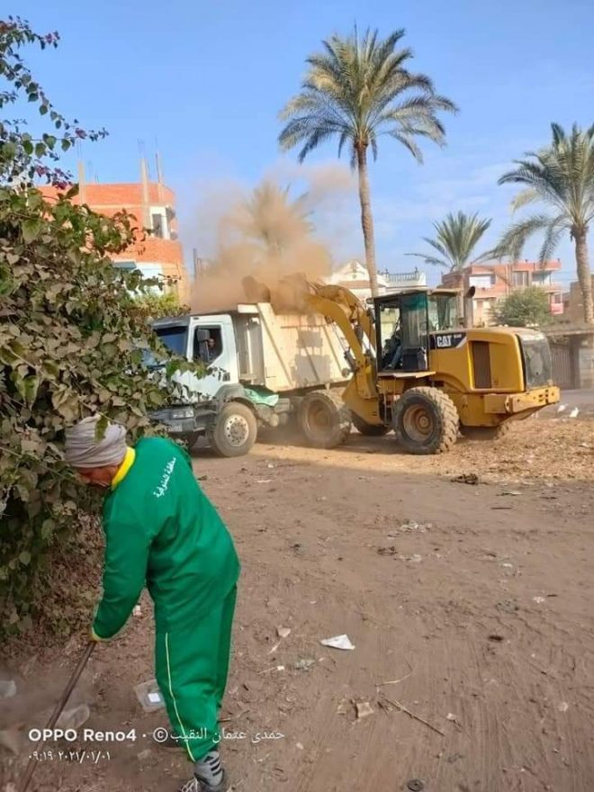 شبين الكوم