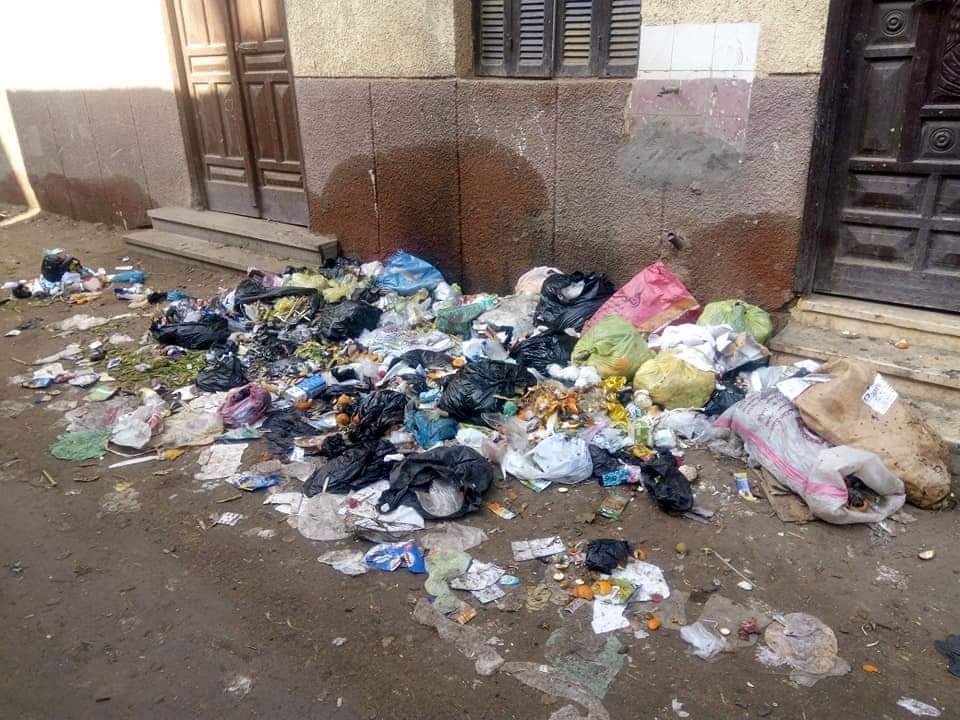 شيبة قش