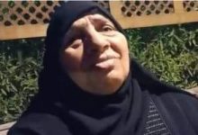 Photo of الحاجة سعيدة تبيع أرضها وتتبرع بثمنها لصندوق تحيا مصر: “حبا فى السيسي”