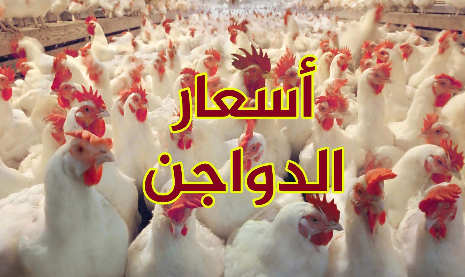 الدواجن