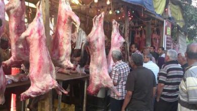 Photo of أسعار اللحوم في الأسواق المحلية