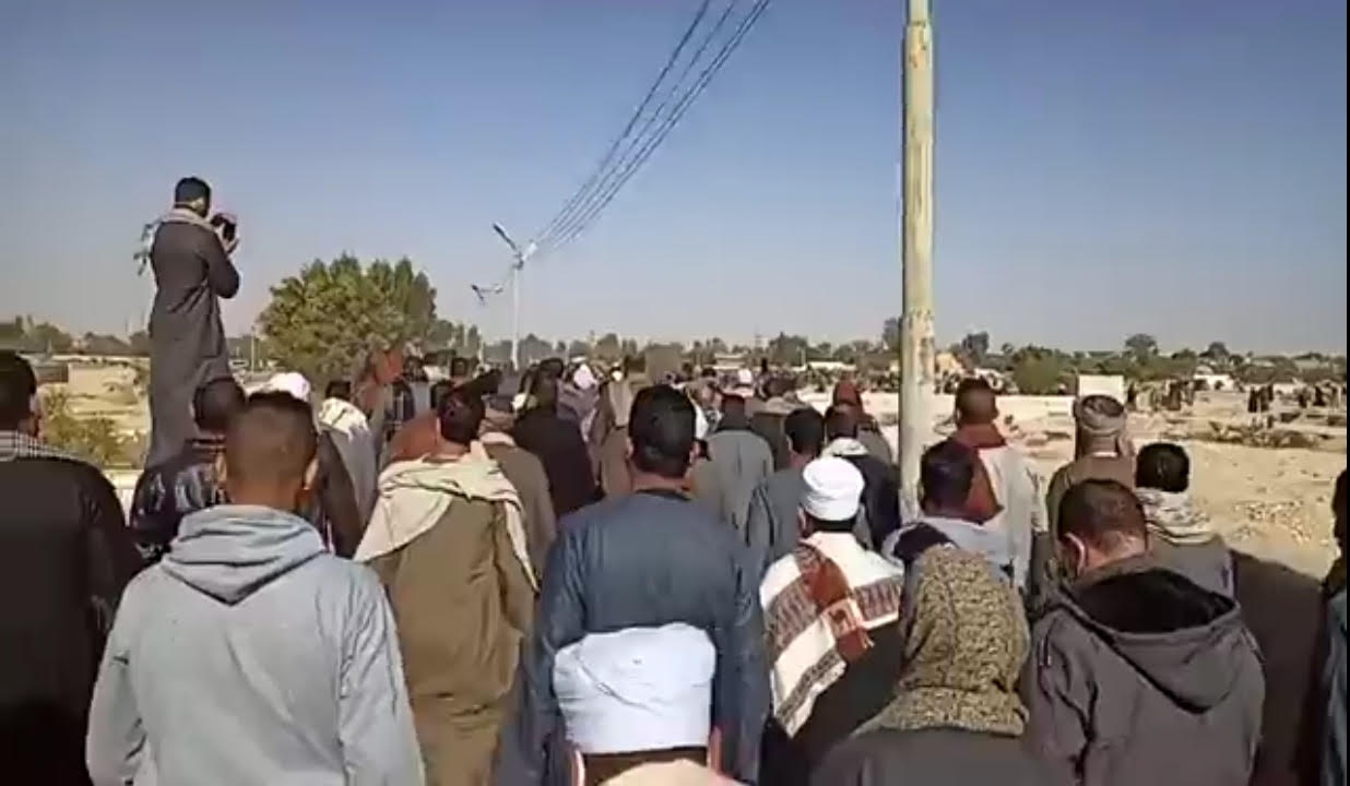 شيخ المالكية