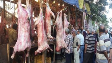 Photo of أسعار اللحوم اليوم في الأسواق