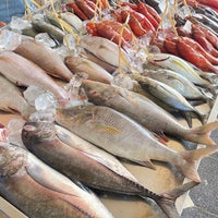 Photo of الأسماك تسجل إستقرارا في الأسعار اليوم