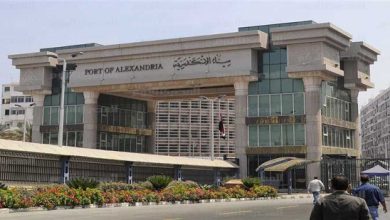 Photo of ميناء الإسكندرية يستقبل سادس قطار مترو أنفاق مكيف