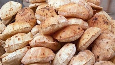 Photo of تنظيم الحملات التفتيشية والرقابية لمركز ومدينة العدوة بالمنيا