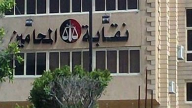 Photo of الرقمنة والعدالة عن بعد أبرز ملامح برامج المرشحين لنقيب المحامين بشمال القليوبية