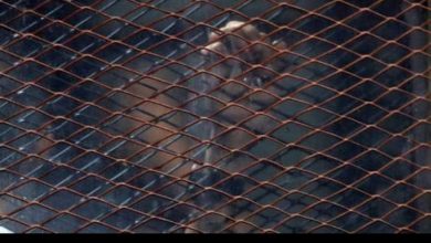 Photo of إحالة متهم استولى على هواتف شركة “عالمية” في مصر للجنايات..تفاصيل
