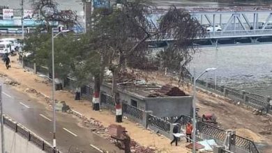 Photo of عاجل| بسبب الرياح سقوط شجرة كبيرة بكورنيش بنها