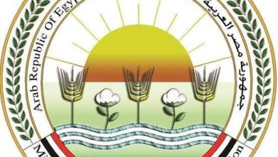 Photo of وزير الزراعة يكلف كافة أجهزة الوزارة بمتابعه أثار التقلبات المناخية بالمحافظة