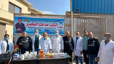 Photo of علاج وتحصين 937 رأس ماشية فى أول يوم للقافلة البيطرية بالزهويين