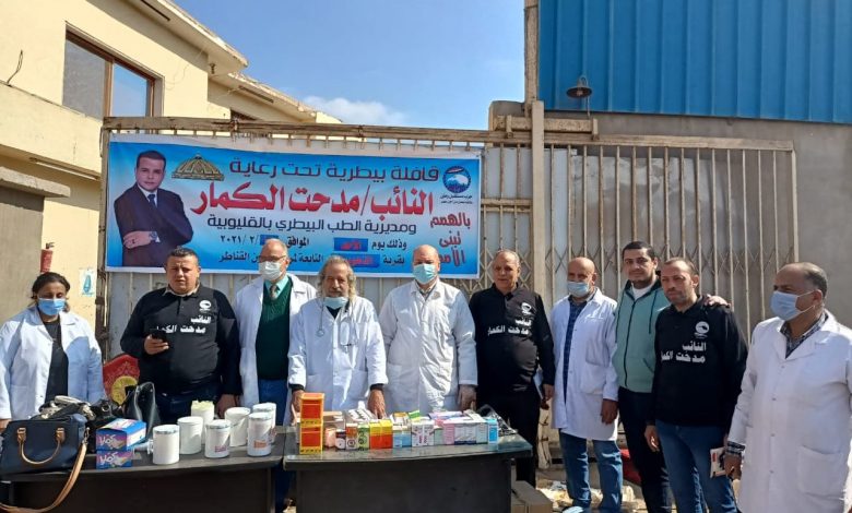 Photo of علاج وتحصين 937 رأس ماشية فى أول يوم للقافلة البيطرية بالزهويين