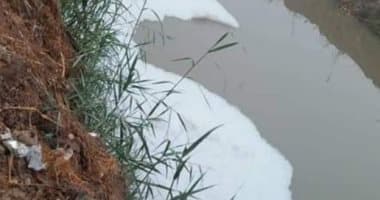 معاينة الرغاوى البيضاء بسطح المياه بمحطة الخلط بكفر ديما غربية