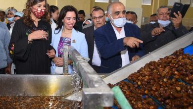 Photo of وزيرة الهجرة: مزارع ومصانع التمور توفر فرص عمل آمنة للشباب المصري  