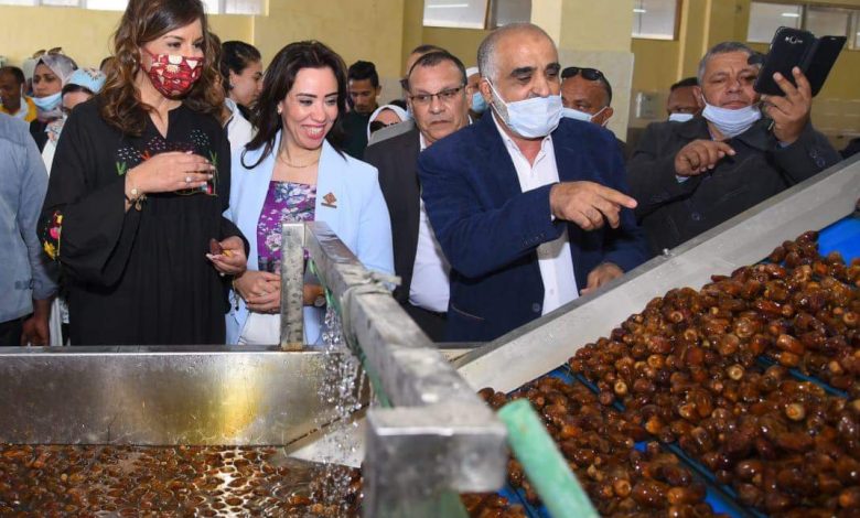 Photo of وزيرة الهجرة: مزارع ومصانع التمور توفر فرص عمل آمنة للشباب المصري  