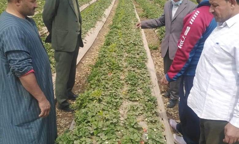 Photo of جامعة بنها تنظم قافلة زراعية بقرية الدير بطوخ