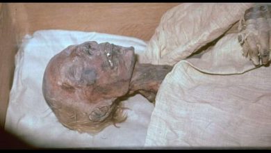 Photo of “العثور”علي أقدم المراجع التي تفسر الطرق المعتمدة للتحنيط
