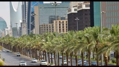 Photo of “السعودية “تعلن عن 100 ألف وظيفة جديدة … تعرف عليها