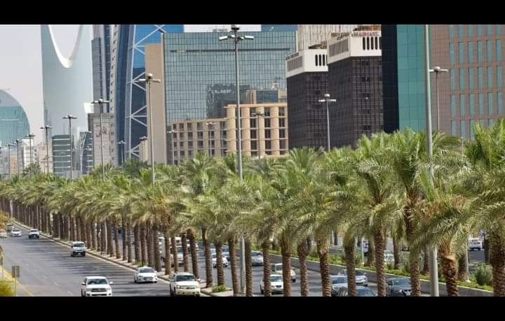 "السعودية "