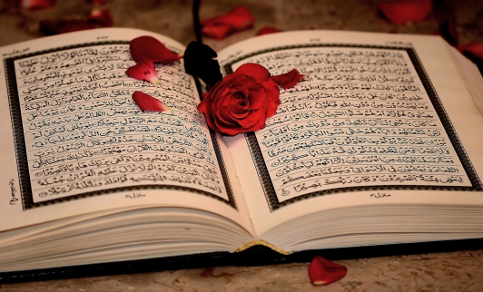 سورة البقرة