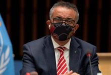 Photo of الصحة العالمية: مصر لديها القدرة على تصنيع لقاحات كورونا