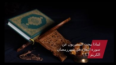 Photo of في أول أيام رمضان… لماذا يبحث المصريون عن سورة البقرة