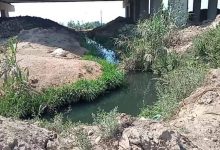 Photo of أراضى عزبتى أبو باشا ومنير تائهة بين ري القليوبية ورى المنوفية والزراعات مهددة بالبوار