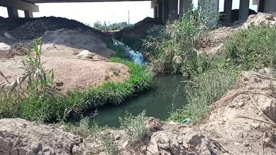Photo of أراضى عزبتى أبو باشا ومنير تائهة بين ري القليوبية ورى المنوفية والزراعات مهددة بالبوار