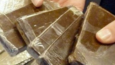 Photo of الداخلية تضبط 550 طربة حشيش بقيمة 4 ملايين جنيه بالإسكندرية والبحيرة