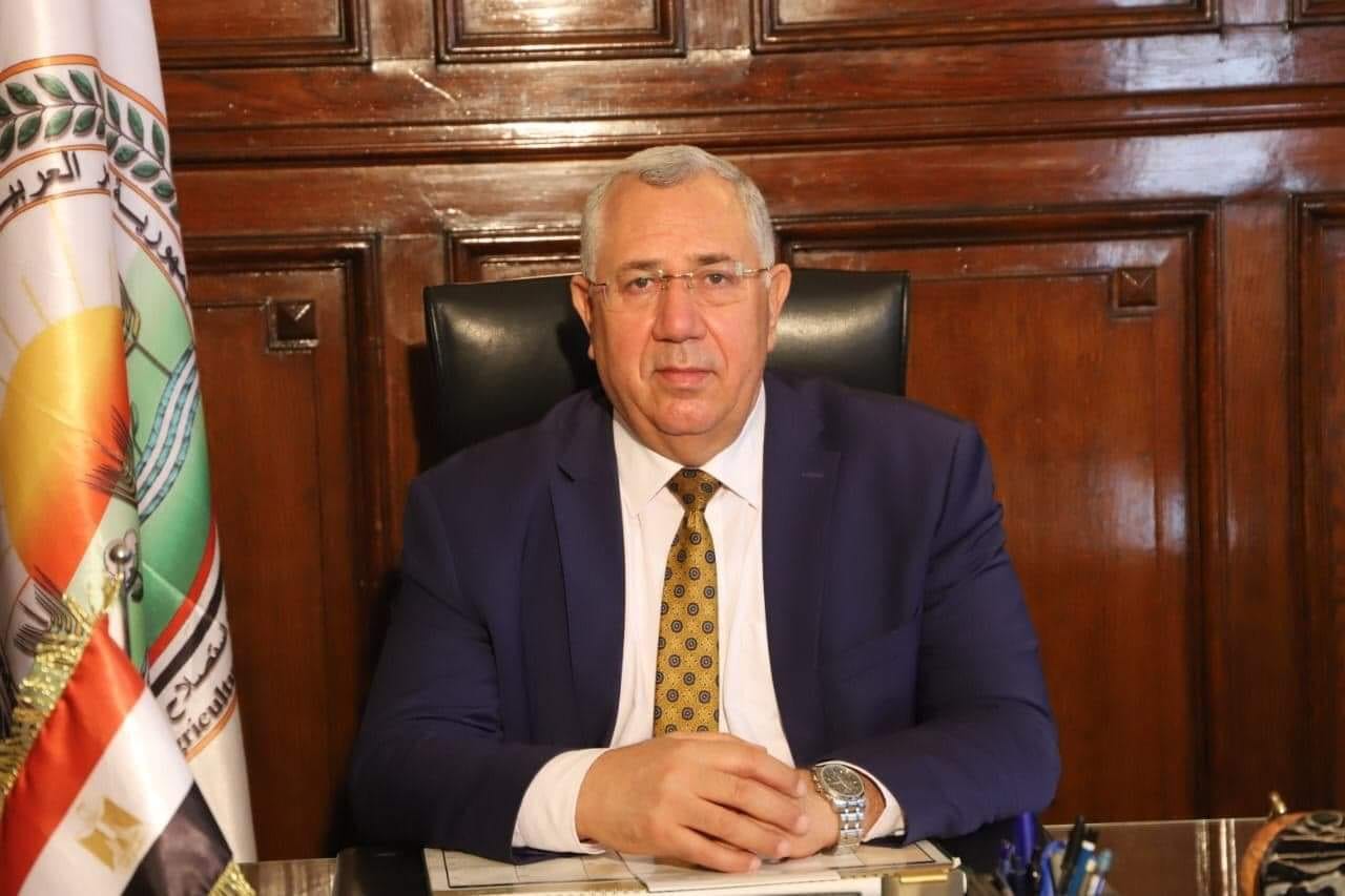 القصير