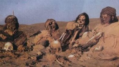 Photo of حبس مقاول بقليوب القي ٩٠ جمجمة ورفات  للموتى اسفل الطريق الحر ٤ ايام