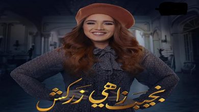 Photo of رنا رئيس: مسلسل “نجيب زاهي زركش” نقلة نوعية في مسيرتي الفنية