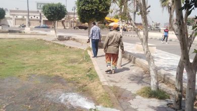 Photo of صور.. كورنيش بنها وحدائق القليوبية خالية من الزائرين في شم النسيم
