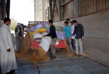 Photo of المصيلحي يتفقد صوامع بنها: أنشئت بتوجيهات الرئيس للحفاظ على القمح وإنتاج رغيف خبز مدعم للمواطن بصورة جيدة