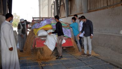 Photo of المصيلحي يتفقد صوامع بنها: أنشئت بتوجيهات الرئيس للحفاظ على القمح وإنتاج رغيف خبز مدعم للمواطن بصورة جيدة