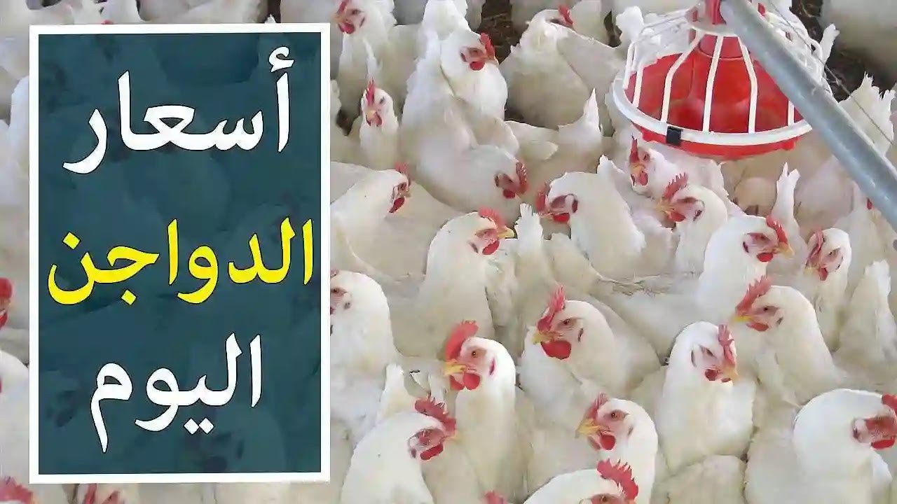اليوم