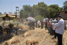 Photo of توريد أكثر من 77 ألف طن قمح لشون وصوامع أسيوط