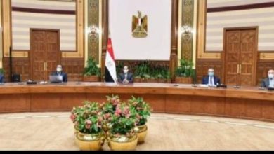 Photo of السيسي يوجه بتوفير كافة عوامل النجاح لمشروع تطوير قرى الريف المصري