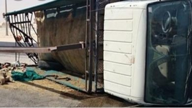 Photo of خضوع ٣ أمناء شرطة في حادث إنقلاب سيارة إطفاء بطوخ للعلاج