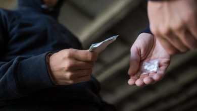 Photo of ضبط تشكيل عصابي من 3 عاطلين لترويج المخدرات في القليوبية