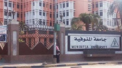 Photo of طالب يطعن زميله بسكين داخل لجنة الامتحانات بكلية الهندسة في المنوفية