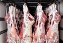 Photo of “التموين” تضبط نحو 17 طن لحوم وأسماك وأغذية فاسدة قبل ترويجها بالأسواق