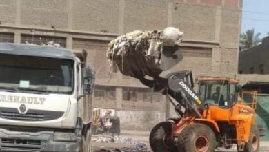 Photo of رفع ١١٠٠ طن مخلفات وقمامة بحى شرق شبرا الخيمه