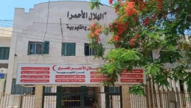 Photo of إستقالة جماعية لمجلس إدارة الهلال الأحمر بالقليوبية إحتجاجا على تهديدات ري زفتى