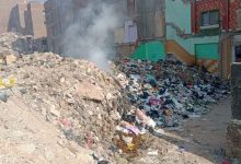 Photo of أهالى الخصوص يستغيثون من الكلاب الضالة..(تملأ الشوارع وتُثير الذعر )