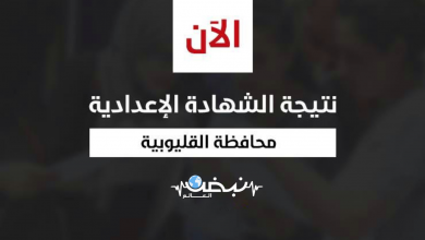 Photo of بالاسم ورقم الجلوس.. رابط نتيجة الشهادة الإعدادية بالقليوبية
