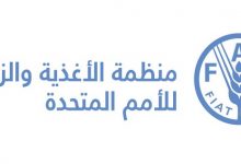 Photo of منظمة “الفاو” أسعار المواد الغذائية تسجل أعلى ارتفاع خلال مايو الماضي